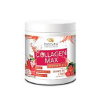 Collagen Max Superfruits P 260g Soluo Oral medida